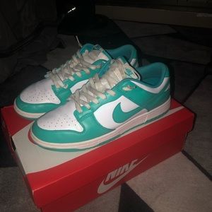 Men’s Nike dunks size 9.5
